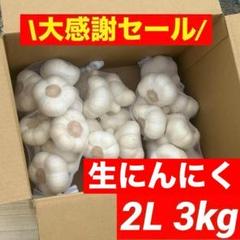大感謝セール】新物 青森県産 生にんにく 2L 3kg 福地ホワイト六
