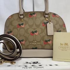 2025年最新】coach いちご バッグの人気アイテム - メルカリ