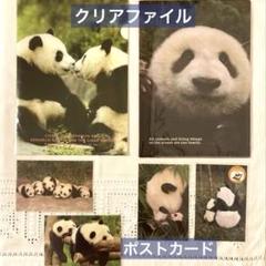 未使用品　パンダ　クリアファイル　ポストカード　6点　セット