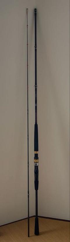 2025年最新】DAIWA 船竿の人気アイテム - メルカリ
