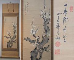 真作】掛軸 白梅図 古木に白梅咲く 幽香漂う 春信を告げる S160