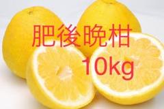 熊本県産 肥後晩柑 10kg【5/29夜30人限定セール】8