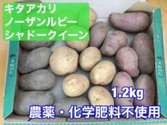 じゃがいも3種 農薬 化学肥料不使用