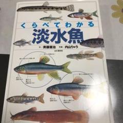 ラッシュ様専用 くらべてわかる淡水魚 : 識別ポイントで見分ける
