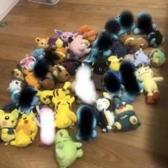 ポケモン ぬいぐるみ ポケットモンスターズ 人形 22個 まとめ売り