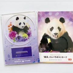 アドベンチャーワールド楓浜ガチャ第2弾アクスタコンプリートセット 2025年最新】楓浜 アクスタの人気アイテム - メルカリ
