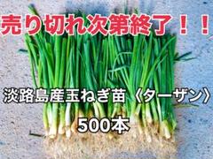 2025年最新】淡路島玉ねぎ苗 ターザンの人気アイテム - メルカリ