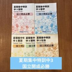 武蔵特別コース 夏期集中特訓教材セット　NN武蔵　そっくりテスト付き 2025年最新】nn 武蔵の人気アイテム - メルカリ