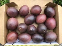 宅急便コンパクト パッションフルーツ