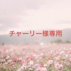 チャーリー様専用　　【未開封】ドラゴンボール フィギュア４点セットのサムネイル