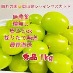 【予約販売】岡山県シャインマスカト農林大臣賞無農薬800g超大粒粒だけ厳選秀品 予約販売】岡山県シャインマスカト農林大臣賞無農薬300g×2房大粒