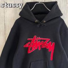 [美品] ステューシー×チャンピオン☆センターパイルロゴ入りパーカー 希少 ステューシー パーカー センターパイルロゴ 入手困難 稀少