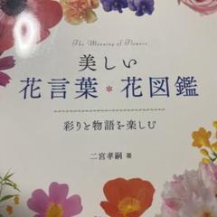 美しい花言葉 花図鑑 彩りと物語を楽しむ の中古 未使用品を探そう メルカリ 美しい花言葉 花図鑑 彩りと物語を楽しむ の中古 未使用品を探そう メルカリ