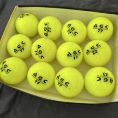 AGC グランドゴルフボール 12個セット