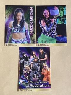 女子プロレス　マリーゴールド　トレカ　ポスターカード　16種　コンプリート 女子プロレス マリーゴールド トレカ ポスターカード 16種