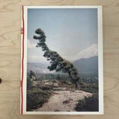 Some Windy Trees Vincent Delbrouck