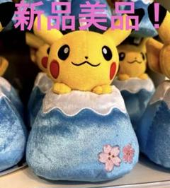 2025年最新】富士山頂ピカチュウの人気アイテム - メルカリ
