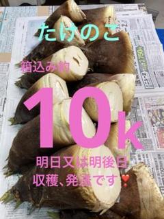 2025年最新】タケノコ 10kgの人気アイテム - メルカリ