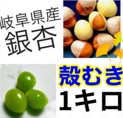 【森のちーさん】岐阜県産　銀杏　大粒殻むき‼️　藤九郎　4キロ 森のちーさん様専用】岐阜県産 銀杏 大粒殻むき‼️ 藤九郎 4キロ