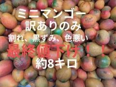 ミニマンゴー　訳あり約8キロ ミニマンゴー 訳あり約8キロ - メルカリ