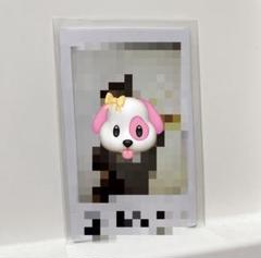 82MAJOR ソンイル サイン ポラロイド 82MAJOR ソンモ サイン入り ポラロイド - メルカリ