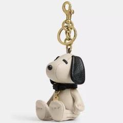 新品タグ付き♡希少✨コーチ スヌーピー チャーム キーホルダー シグネチャー 2025年最新】スヌーピーチャームcoachの人気アイテム - メルカリ