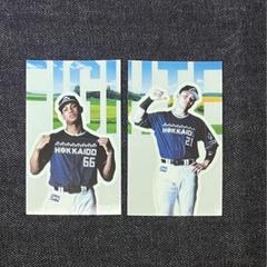 WE LOVE HOKKAIDO&FIGHTERS ステッカー　清宮　万波