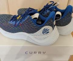 Under Armour Curry Flow 10　27.5cm