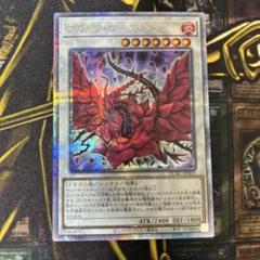 PSA10 ブラックローズドラゴン 25th QCSE 遊戯王 クオシク 遊戯王 ブラックローズドラゴン クオシク 25thシークレット