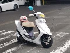 2025年最新】じゃんけんミラー パーの人気アイテム - メルカリ