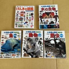 小学館の図鑑NEO１２冊＋プレNEO５冊　１7冊セット　受験 小学館の図鑑NEO12冊＋プレNEO5冊 17冊セット 受験 - メルカリ