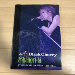 Acid Black Cherry写真集の中古 未使用品 メルカリ