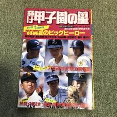 輝け甲子園の星 1985 選手権号のサムネイル