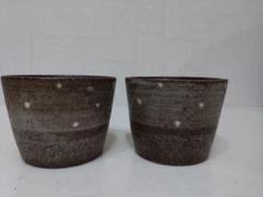 和食器☆ブラウンドット模様カップ2個セット