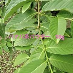 プロフ必見】【送料無料】バナバ茶50g無農薬100%NATURAL