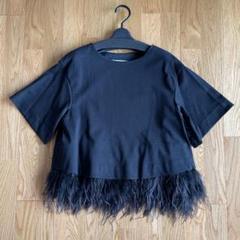 LE CIEL BLEU ルシェルブルー フェザートップスのサムネイル