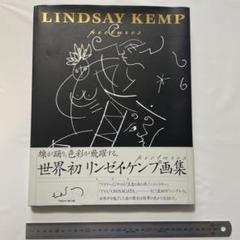 レア盤　アートリンゼイLP4枚セット　arto lindsay jacket.php?id=SM0001