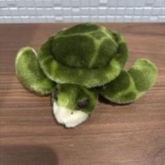 ウミガメ 海亀 ぬいぐるみ