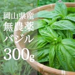 岡山産 とれたて無農薬バジル 2kg 2キロ 岡山産 とれたて無農薬バジル 300g - メルカリ