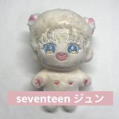 seventeen ジュン 10cm ぬいぐるみ マスター セブチ ドール