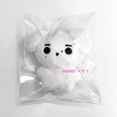 ENHYPEN ソンフン ぬいぐるみ 中国ぬい 新品未使用 enhypen ソンフン ぬいぐるみ 10cm 新品 マスター