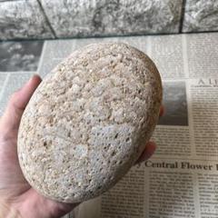 姫川薬石　約1074g 糸魚川産