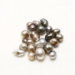 2025年最新】タヒチケシパールの人気アイテム - メルカリ