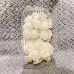 貝殻ライト 約20個 ホワイト