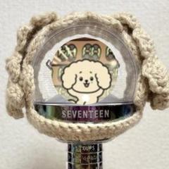 SEVENTEEN ドギョム ペンライトアクセサリー MINITEEN ドア