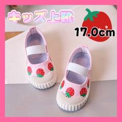 17.0cm バレーシューズ 上履き 上靴 幼稚園 保育園 小学校 新品未使用