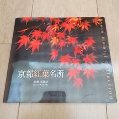 京都紅葉名所 観光 写真 紅葉 京都 旅行 寺社仏閣