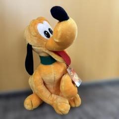 プルート　ぬいば パルパルーザグッズ プルートぬいバ(#^.^#)カチューシャ付けてる