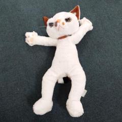 値下げ　白い猫のぬいぐるみ