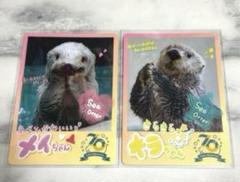 2025年最新】鳥羽水族館 70周年の人気アイテム - メルカリ